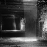 Silvestar Kolbas: Fotokemika