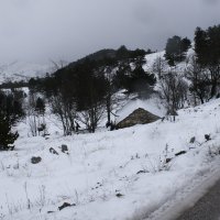 Snijeg na planini Biokovo iznad Makarske