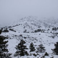 Snijeg na planini Biokovo iznad Makarske