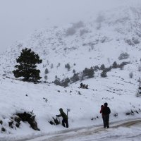 Snijeg na planini Biokovo iznad Makarske