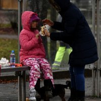 Posljedice potresa u Petrinji