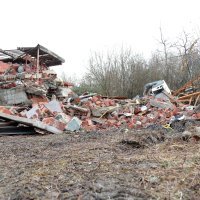 Pas u Majskim Poljanama