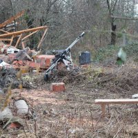 Pas u Majskim Poljanama