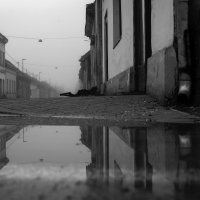 Razrušen i sablazno prazan centar Gline