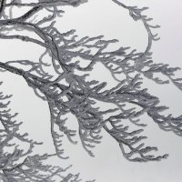 Snijeg u Španjolskoj