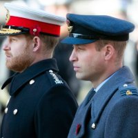 Prinčevi William i Harry