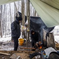 Migranti u šumama oko Velike Kladuše