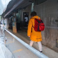 Dolazak učenika u OŠ Ivana Gundulića predstavlja opasnost zbog nedavnih potresa