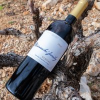 Vina Benmosche dingač i zinfandel