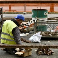 Vukovarska 52, sanacija