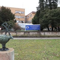 Zbog rijetkih komplikacija od korone preminuo jedanaestogodišnji dječak