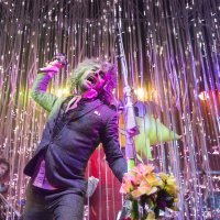 The Flaming Lips