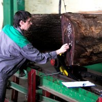 Drvna industrija Spačva