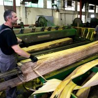 Drvna industrija Spačva