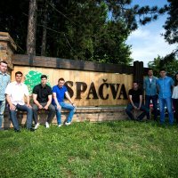 Drvna industrija Spačva