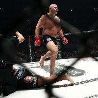 Fedor Emelianenko