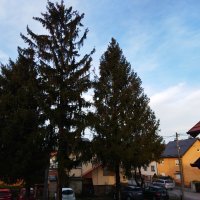 Xiaomi Poco M3 - primjeri fotografija