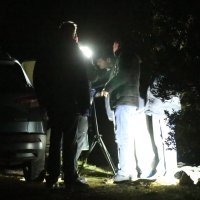 Očevid na sporednom putu između Vodica i Tribunja