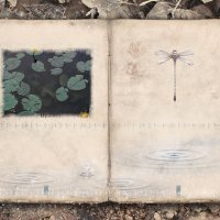 Sjeverozapadni vjetar