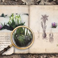 Sjeverozapadni vjetar