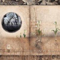 Sjeverozapadni vjetar