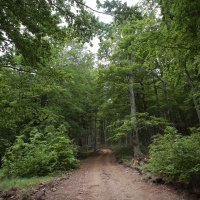 Dinara postaje 12. park prirode u Hrvatskoj