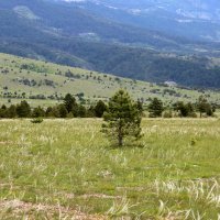 Dinara postaje 12. park prirode u Hrvatskoj