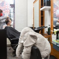 Austrijanci pohrlili u trgovine i frizerske salone