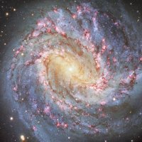 Messier 83