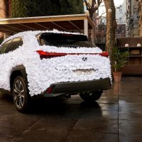 'Zen Garden' je najljepši Lexus UX 250h