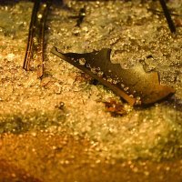 Smartom se zabio u tramvajsku stanicu u Vukovarskoj