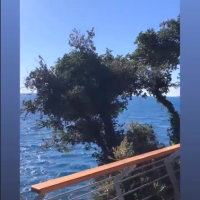 Lejla Filipović u Dubrovniku