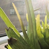 Samsung Galaxy S21 Ultra primjeri fotografija