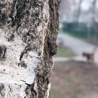 Samsung Galaxy S21 Ultra primjeri fotografija