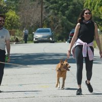 Mandy Moore i Taylor Goldsmith