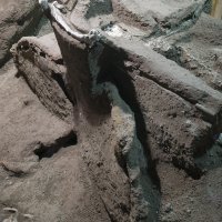 Pronađena kočija u Pompejima