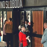 Dnevnik velikog Perice