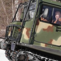 Vladimir Putin u tajgi