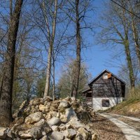 Wooden Hause