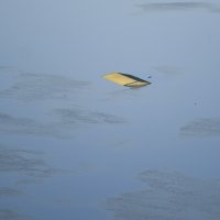 Poplave u Australiji