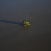 Poplave u Australiji