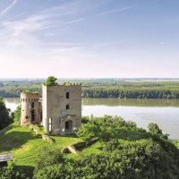 Erdutska kula, Igor Šeler