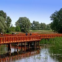 Park prirode Kopački rit, Vjeran Vidaković