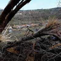 alabama tornado