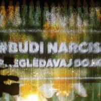 Zagreb: Fontane na Sveučilišnoj livadi osvjetljene povodom Dana narcisa