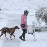 Snijeg zabijelio Karlovac