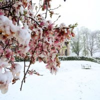 Snijeg zabijelio Karlovac