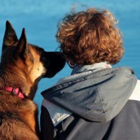 Kako psi komuniciraju