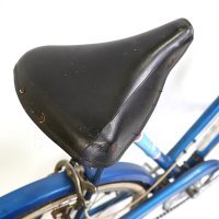 Bicikl princeze Diane