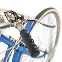 Bicikl princeze Diane